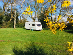 Oakhaven Caravans Geist 1